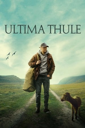 Poster Ultima Thule 2024