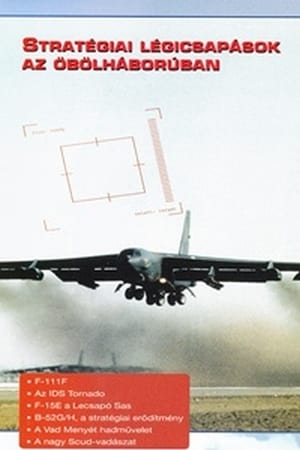 Image Harci repülőgépek - Stratégiai légicsapások az öbölháborúban