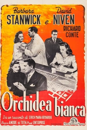 Orchidea bianca 1947