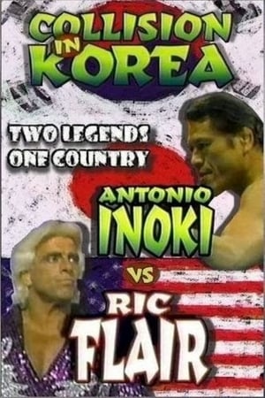 Poster NJPW & WCW Collision In Korea (1995)