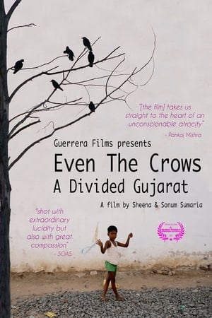 Even the Crows: A Divided Gujarat