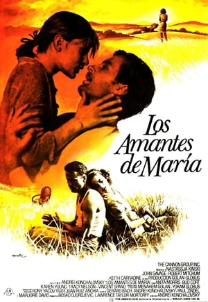 Poster Los amantes de María 1984