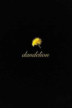 Poster Dandelion 2024