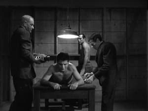 The Outer Limits: 1×19