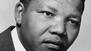 La vie est belle : les héros de l'ombre de Mandela