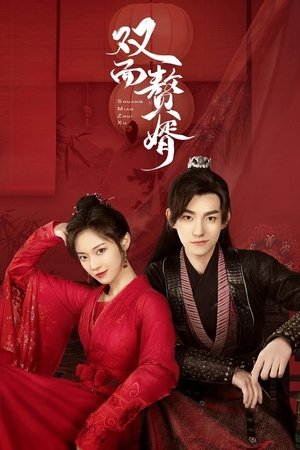 Image 双面赘婿