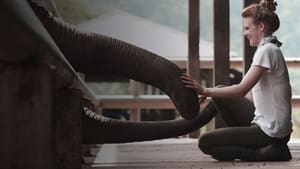 Love & Bananas: An Elephant Story