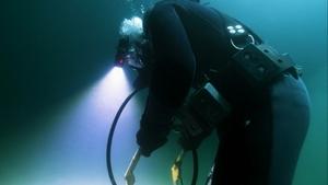 Bering Sea Gold Dive Till You Drop