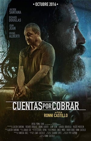 Poster Cuentas Por Cobrar (2016)
