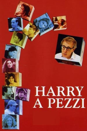 Poster Harry a pezzi 1997