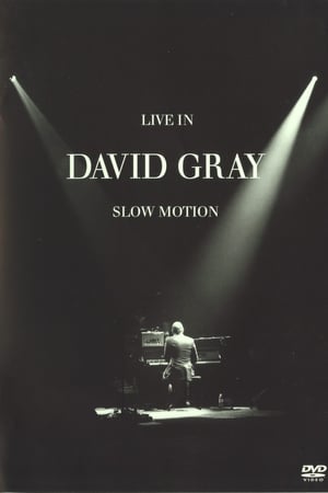 Poster di David Gray: LIVE in Slow Motion