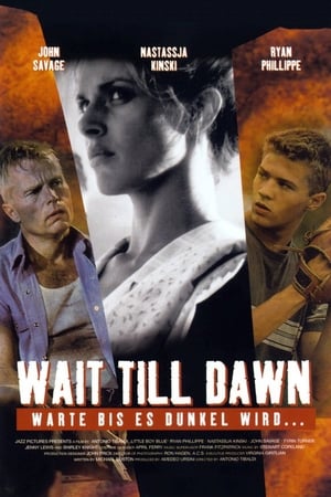 Wait Till Dawn - Warte bis es dunkel wird... Film