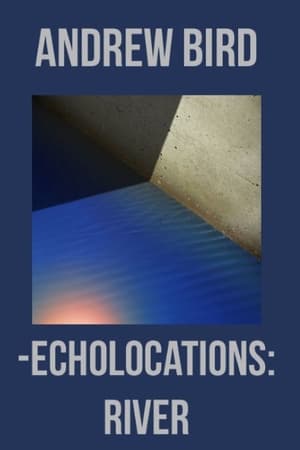 Poster Echolocations: River (2017)