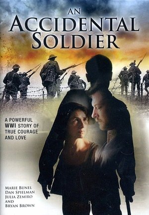 Poster di An Accidental Soldier