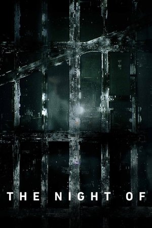 The Night Of poster