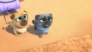 Puppy Dog Pals Suitcase Switcheroo