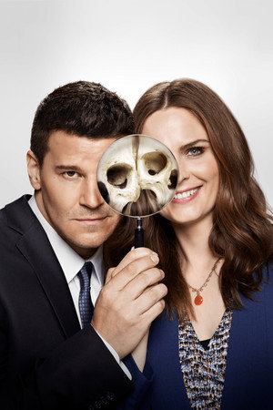 poster Bones