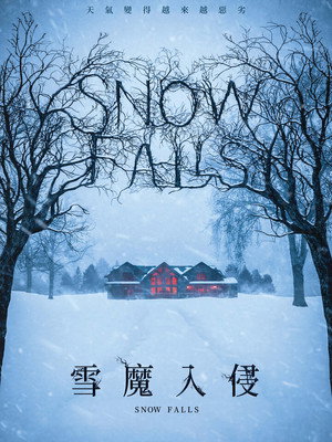 Snow Falls 16