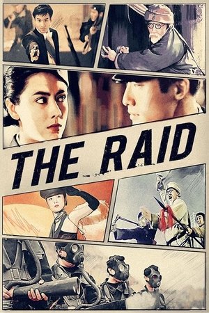 Image The Raid