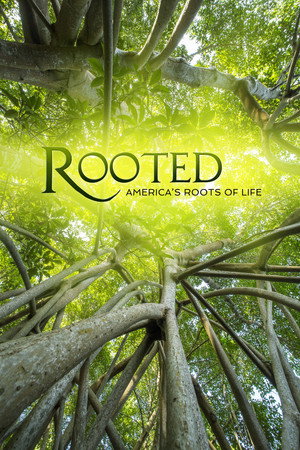 Rooted - Rooted in the New World