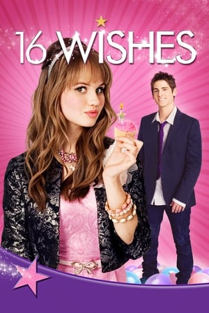 Poster 16 Wishes 2010