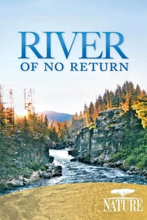 Poster River of No Return 2012
