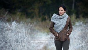 The Hunger Games: Catching Fire ( 2013 )