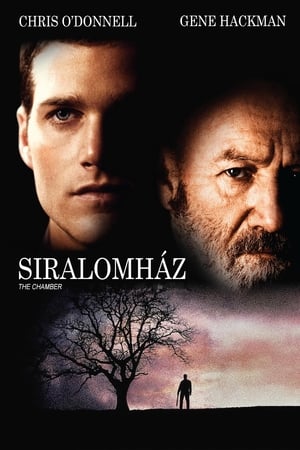 Poster Siralomház 1996