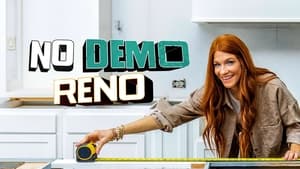 poster No Demo Reno