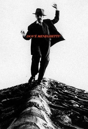 Dov'è Meneghetti? poster