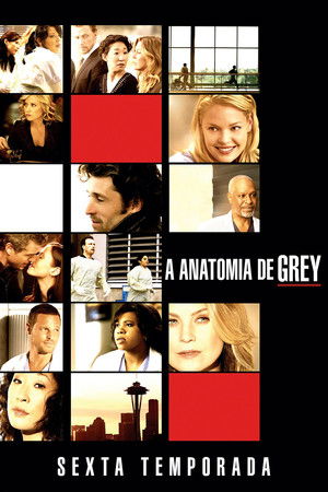Anatomia de Grey: Temporada 6