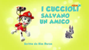 Paw Patrol 2×12