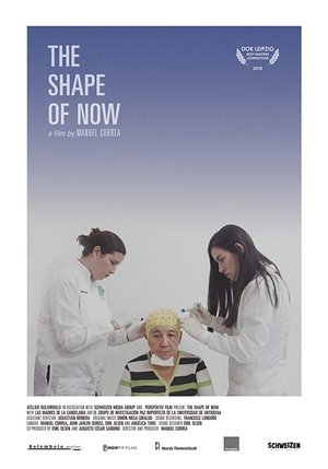 Poster The Shape of Now (2018)