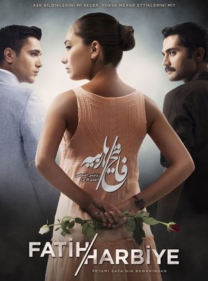 Fatih Harbiye poster