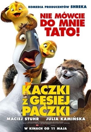 Kaczki z gęsiej paczki