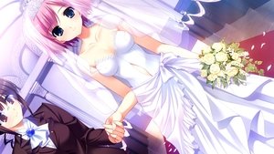 The Fruit of Grisaia
