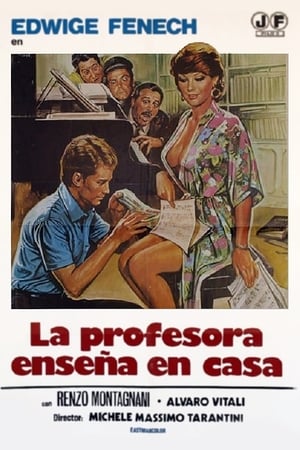 Image La profesora enseña en casa