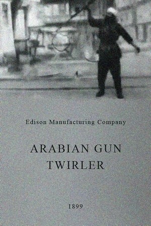 Image Arabian Gun Twirler