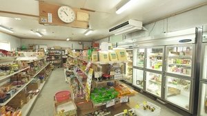 Journeys in Japan: 11×8