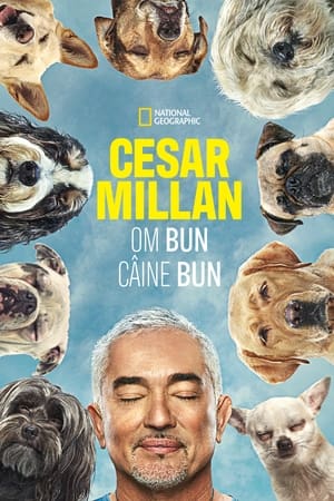 Image Cesar Millan: Better Human, Better Dog