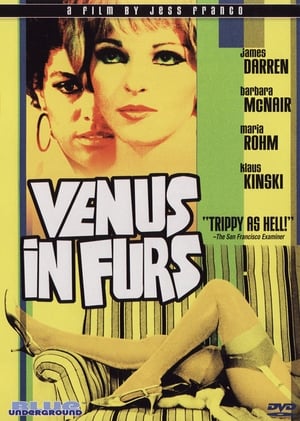 Poster Jesús in Furs (2005)