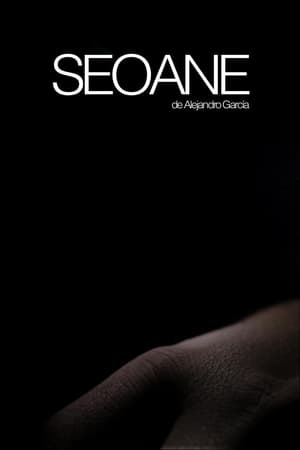 Seoane (2017)