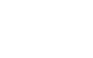 Dangerous Lady