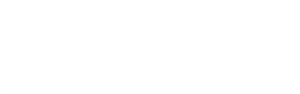 Monster in the Shadows