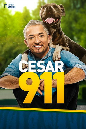 Cesar 911