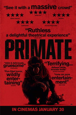 poster Primate