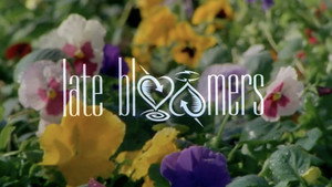фото  - Смотреть Late Bloomers бесплатно онлайн на Lord-Filmy