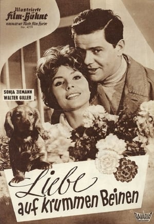 Poster Liebe auf krummen Beinen 1959