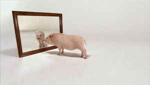 Ein Vater zuviel: 1×10