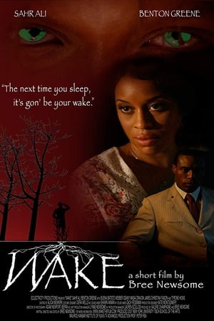 Poster Wake (2010)